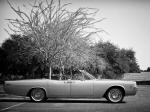 Lincoln Continental Convertible 1966 года